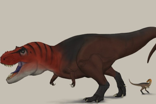 4 Dinosaurus Mesozoikum: Raksasa Purba yang Mengagumkan 4 Dinosaurus Mesozoikum: Raksasa Purba yang Mengagumkan