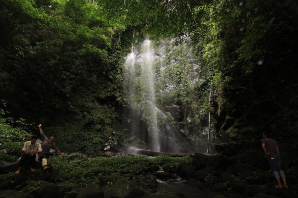 5 Hutan Ajaib Indonesia: Ada di Dekatmu? Temukan Sekarang!