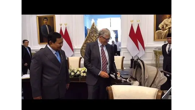 Bill Gates dan Kucing Kesayangan Prabowo: Momen Langka Terungkap
