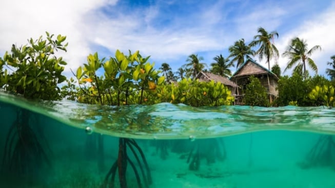 6 Resort Raja Ampat Mewah: Tarif Puluhan Juta, Layak Dikunjungi?