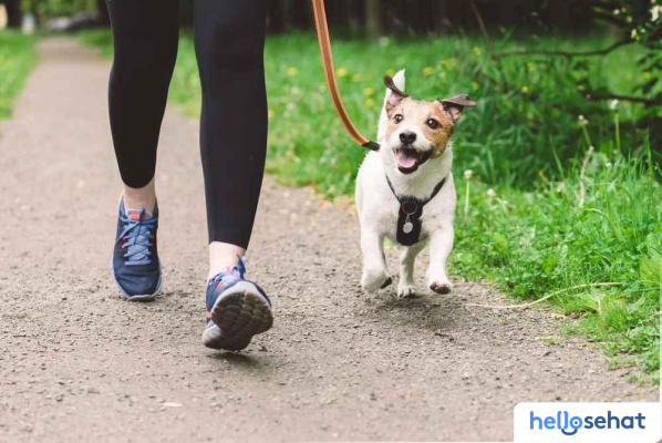 9 Aktivitas Seru & Asik Bareng Si Bulukmu: Wajib Coba!