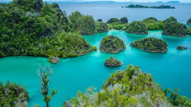 Jelajahi Raja Ampat SEKARANG: Surga Terakhir Sebelum Tambang, Biaya & Tips!