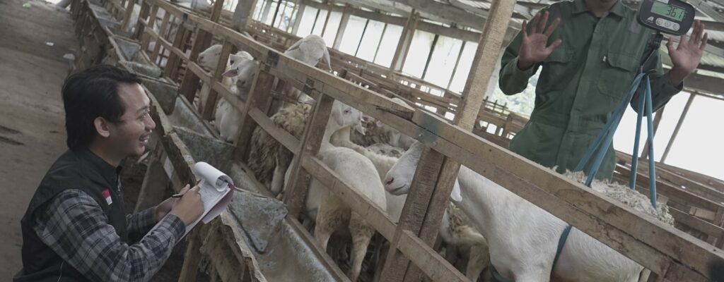 Kurban_Cegah_Stunting_Rahasia_Ampuh_di_Pelosok_Desa Kurban Cegah Stunting: Rahasia Ampuh di Pelosok Desa