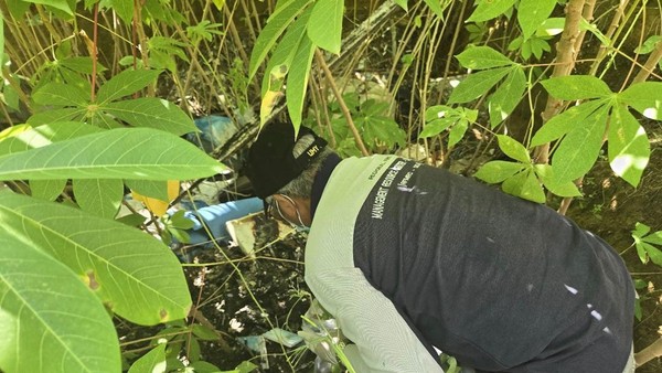 Misteri_Singkong_Kamuflase_6_Ton_Limbah_Medis_Terungkap Misteri Singkong: Kamuflase 6 Ton Limbah Medis Terungkap