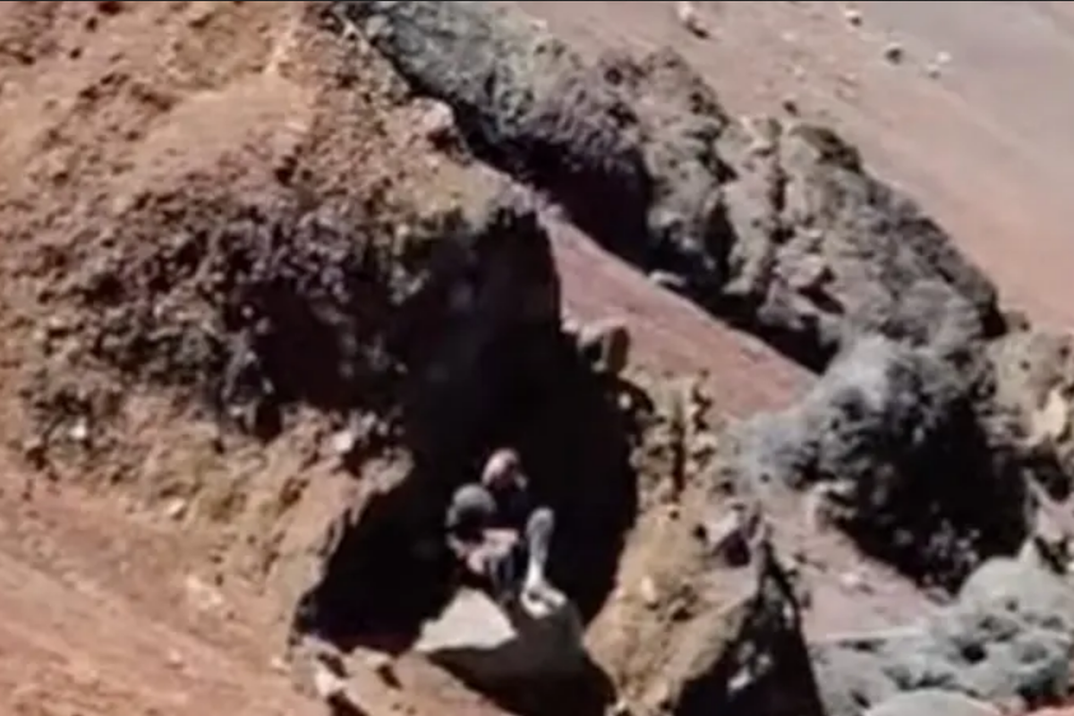 Petualangan Maut: Paul Farrell & Gunung Rinjani, Nyawa di Ujung Tanduk