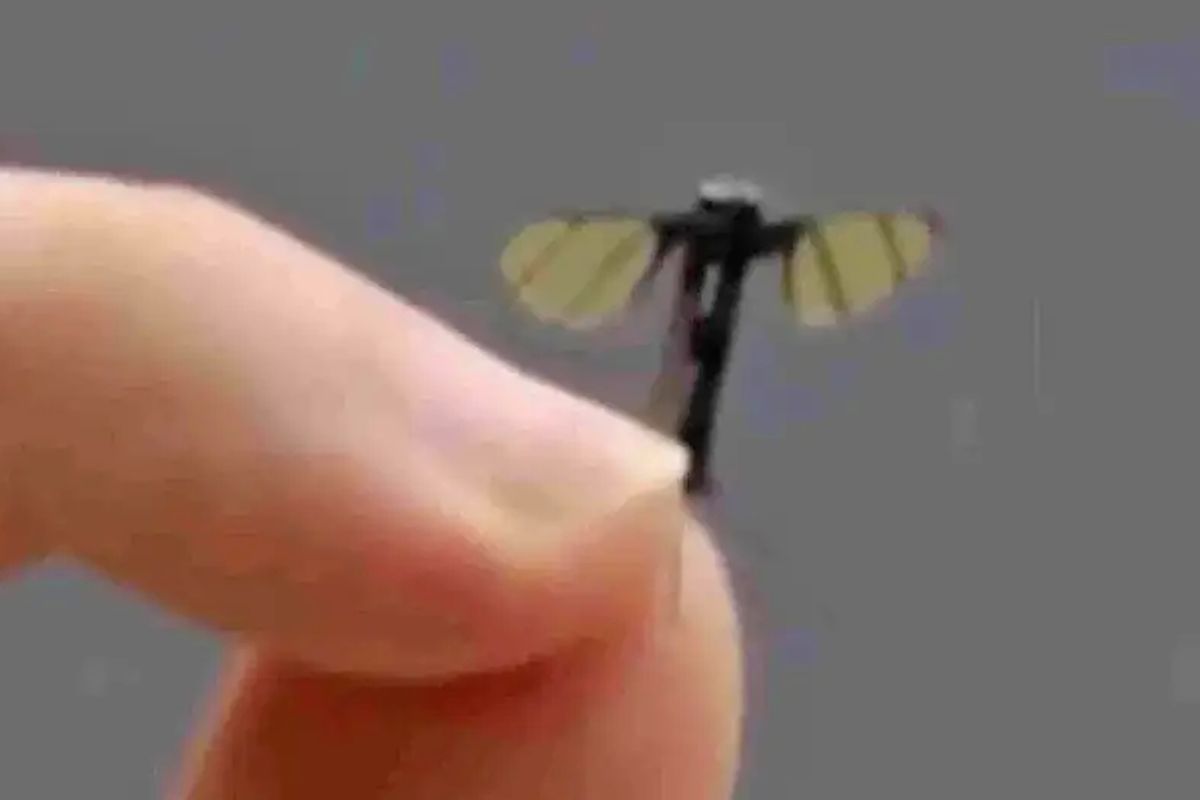 Drone Mikro China: Nyamuk Mata-mata untuk Misi Rahasia?