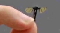 Drone_Mikro_Cina_Nyamuk_Mata-mata_untuk_Misi_Rahasia Drone Mikro Cina: Nyamuk Mata-mata untuk Misi Rahasia?